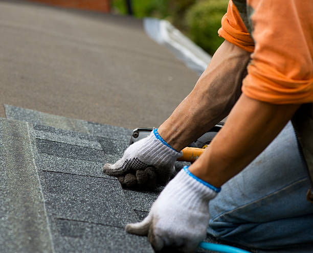 Best Roof Maintenance Services  in Elida, OH